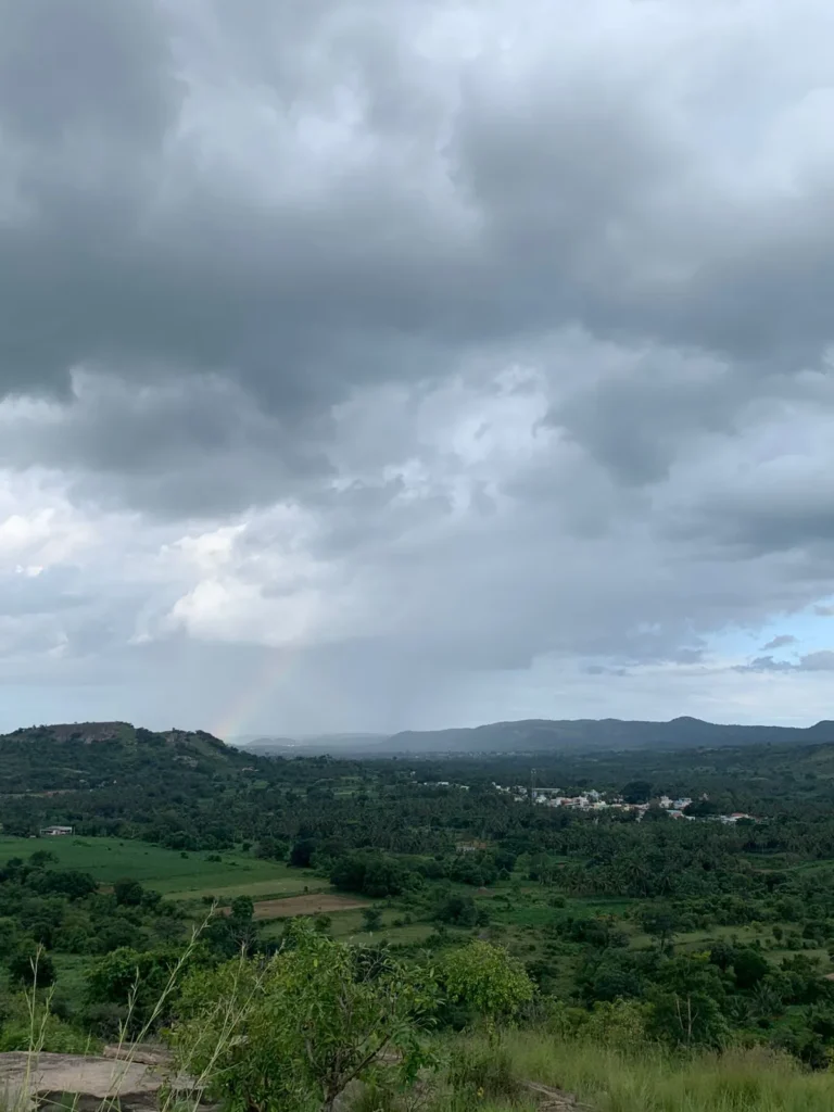 WhatsApp Image 2026-01-19 at 1.10.38 PM